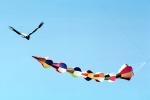 Flying a Kite, SKTV01P04_14