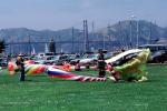 Cars, lawn, Marin Headlands, Golden Gate Bridge, Flying a Kite, SKTV01P06_17
