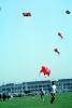 Flying a Kite, SKTV01P08_05