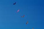 Flying a Kite, SKTV01P08_12