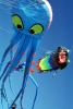Octopus Kite, Opening Day, Crissy Field, Celebration, May 6, 2001, SKTV01P13_03