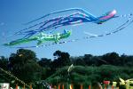 Wind, Flags, People, Crowds, Octopus Kite, Alligator Kite, Opening Day, Crissy Field, Celebration, May 6, 2001, Lizard, SKTV01P13_17