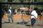 Jouster and Horse, Armour