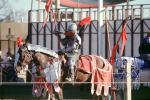 Jouster and Horse
