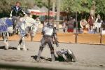 Jousters, Sword Fight, SMHV01P02_08