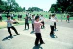 Tai Chi, Movements, gentle physical exercise, Flexibility, SMTV01P02_04