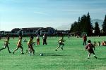 Field, Boys, Running, Playing, Kicking, Soccer Ball, SOCV01P03_08