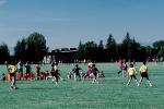 Field, Boys, Running, Playing, Kicking, Soccer Ball, SOCV01P03_10