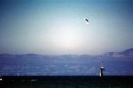 Ram Air Parachute, canopy, skydiving, diving, SPSV01P14_02