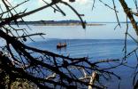 Bear Island, Penobscot Bay, Canoe, SRKV01P01_03B