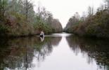 Bayou, swamp, canoe, wetlands