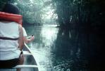 swamp, wetlands, Florida, SRKV02P07_02