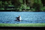 Rowing Needle, sculling, rowing, water, lake, man