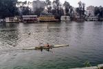 Sculling, Single Scull, Rowing Needle, house boats, river, homes, buildings