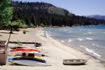 Beach, Sand, Waves, Trees, Forest, Lake Tahoe