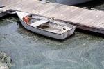Rowboat, dock, yucky water, SRKV02P13_14