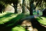 runner, Golden Gate Park, path