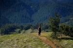 Woman Hiking, mountains