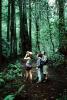 Redwood Forest, path, people, STHV01P07_16