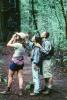 Redwood Forest, path, people, STHV01P07_19