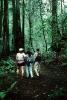 Redwood Forest, path, people, STHV01P08_07