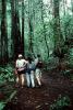 Redwood Forest, path, people, STHV01P08_09