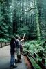 Redwood Forest, path, people, STHV01P08_16