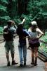 Redwood Forest, path, people, STHV01P09_01