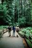 Redwood Forest, path, people, STHV01P09_06