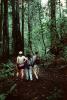 Redwood Forest, path, people, STHV01P09_08