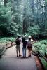 Redwood Forest, path, people, STHV01P09_13