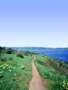 path, dirt, trail, pacific ocean, Bodega Bay, Pickleweed, STHV02P02_16B
