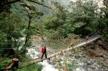 footbridge, river, forest, rainforest, backpack, Fiordland National Park, STHV02P05_06