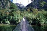 footbridge, forest, Fiordland National Park, STHV02P05_08