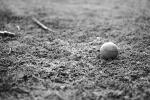 Tennis Ball with Ice, my Backyard Frozen Grass