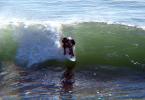 Fort Point, San Francisco, Lefts, Wetsuit, Surfing, California, Surfer, Surfboard, SURD01_033B