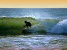 Wetsuit, Malibu Beach, Surfer, Surfboard, 1970s, SURV01P03_14.2604