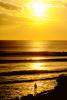 Sunset, Water, Foam, Clouds, Pacific Ocean, surfer, waves, SURV01P04_03