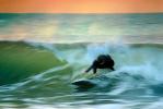 Wetsuit, Topanga Beach, Surfer, Surfboard, 1970s, SURV01P06_16.2660