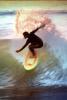 Topanga Beach, Surfer, Surfboard