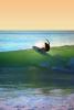 right break, Wetsuit, Topanga Beach, Surfer, Surfboard, SURV01P09_02B