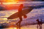 Rodeo Beach, Marin County, Surfboard, Surfer