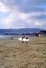 Stinson Beach, Surfboards, Marin County, California, SURV02P06_15