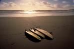 Stinson Beach, Surfboards, Marin County, California, SURV02P06_17.2604