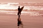 Ocean Beach, Surfer, Surfboard, Ocean-Beach, SURV02P08_06