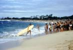Kauai Surf Contest, Crowds, Beach, Sand, Long Board, Surfer, Surfboard, SURV02P10_11