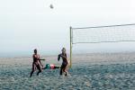 Volleyball Net, Playing, Beach, Net, Ball, SVBV01P05_03