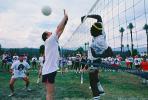 Volleyball Net, Playing, SVBV01P05_10