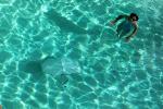 Girl, Underwater, Pool, Ripples, Water, Liquid, Wet, Wavelets, SWDD01_006