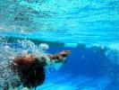 Boy, Underwater, Pool, Ripples, Water, Liquid, Wet, bubbles, Wavelets, SWDD01_122